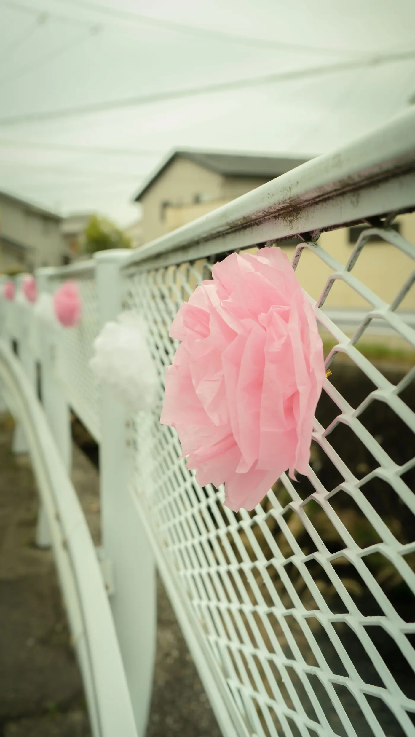 A pink paper flower tied to a fence for the Iwasaki Castle sakura festival