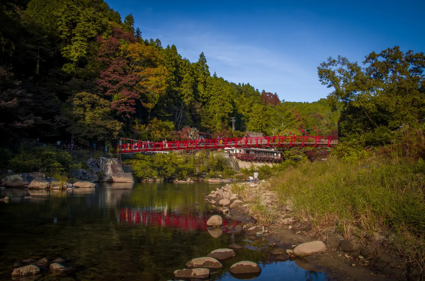Red bridge across the river in the autumn valley at Korankei
