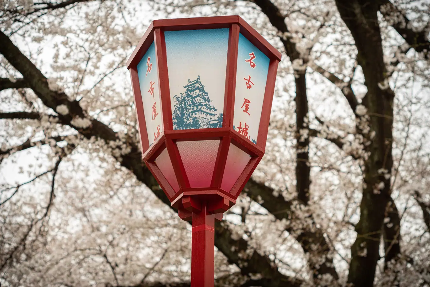 A paper lantern with a picture of Nagoya Castle among cherry blossoms