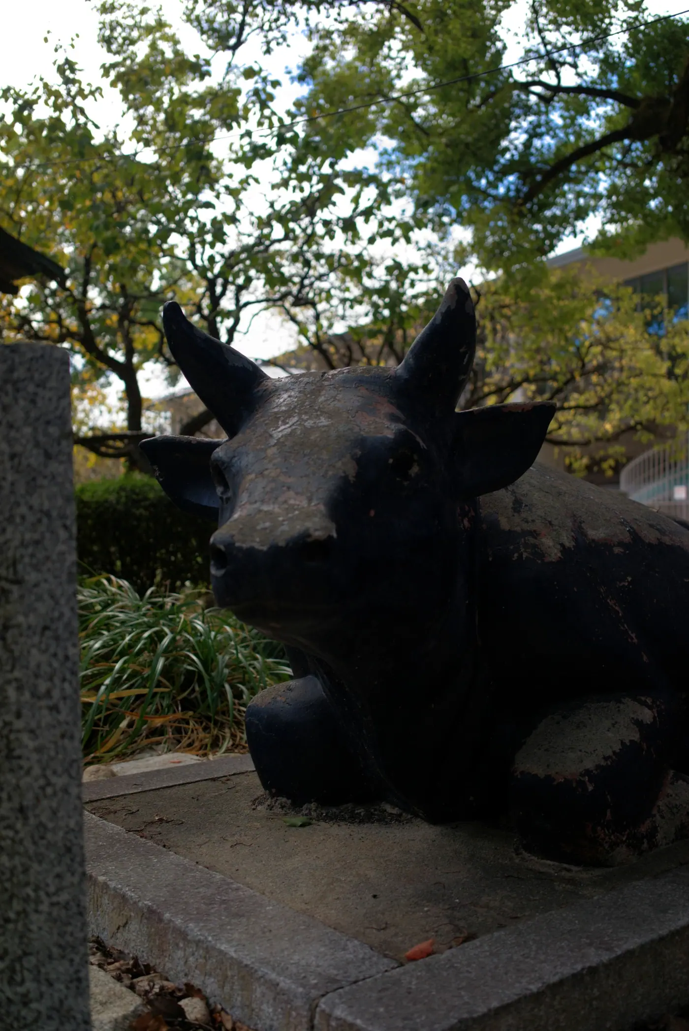 A bronze ox statue on the grounds of Dazaifu Tenmangu