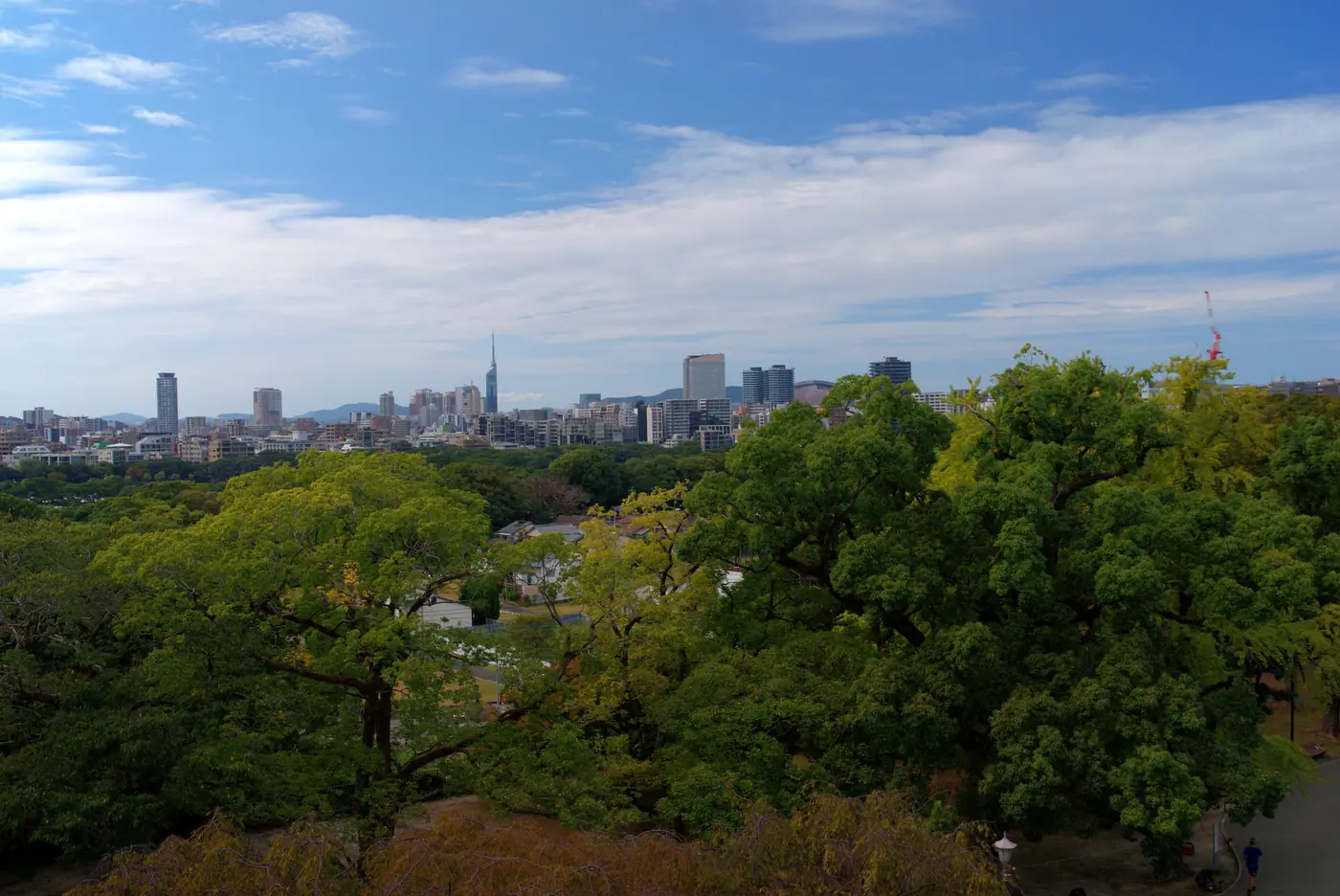 Central Fukuoka seen over the trees from Fukuoka Castle Ruins