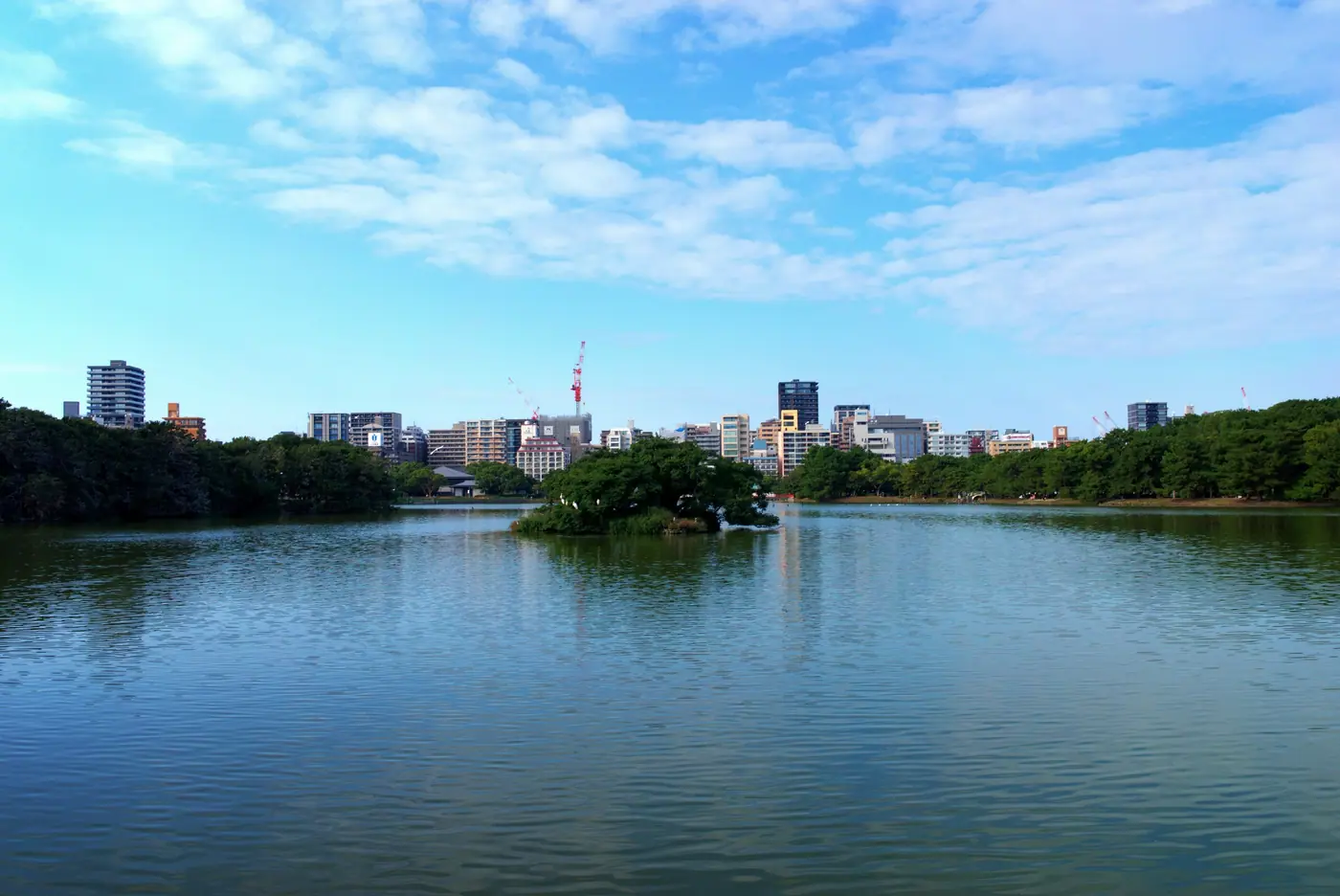 A small wooded island in the lake at Ohori Park, with the city behind