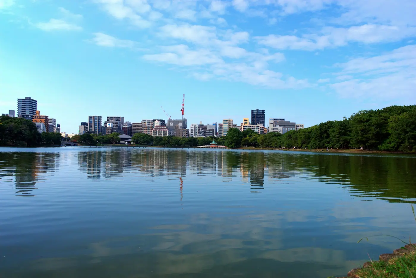 City buildings reflected in the calm lake at Ohori Park