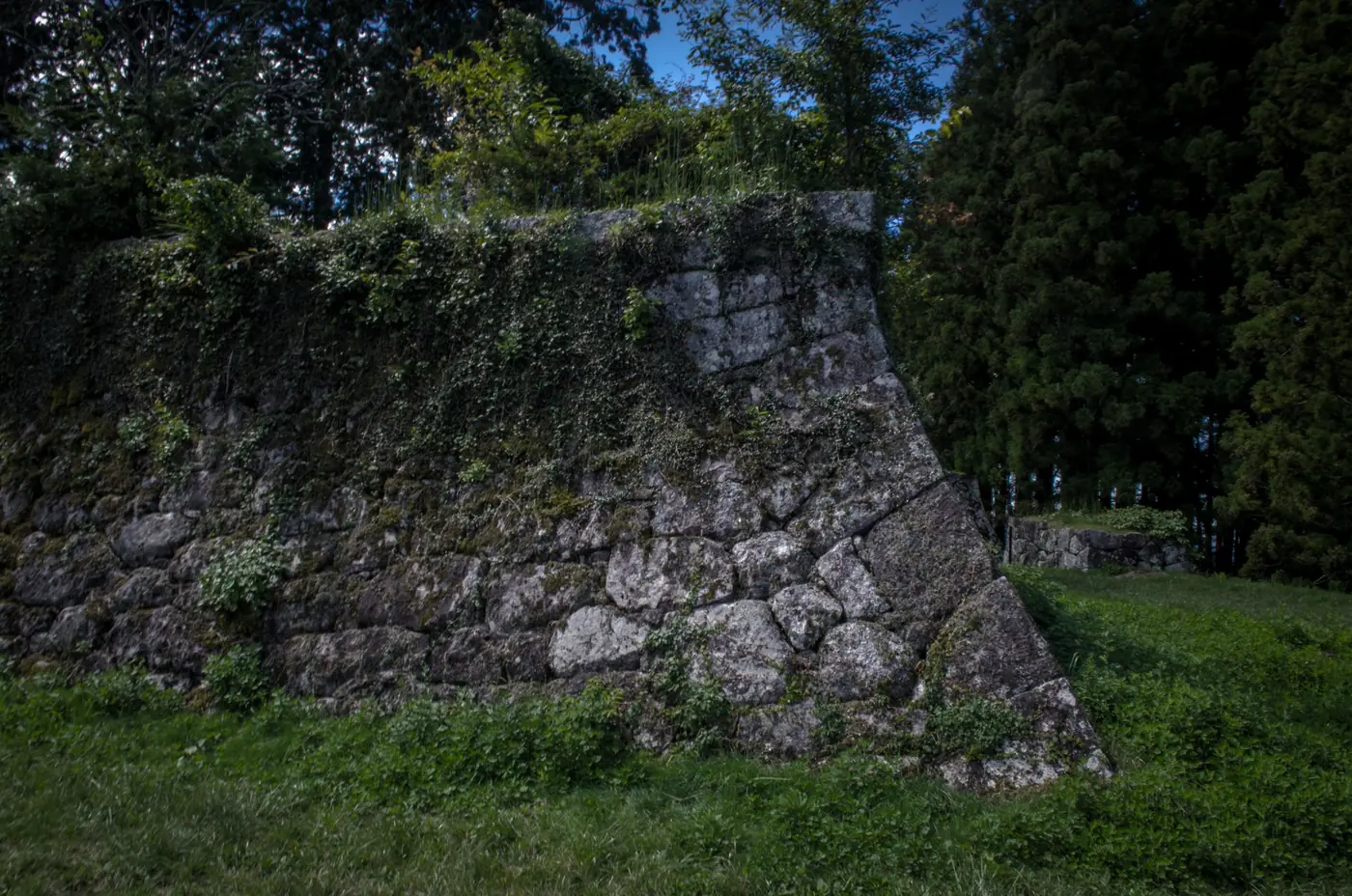 Moss-covered stone walls of Iwamura Castle, rising out of the forest