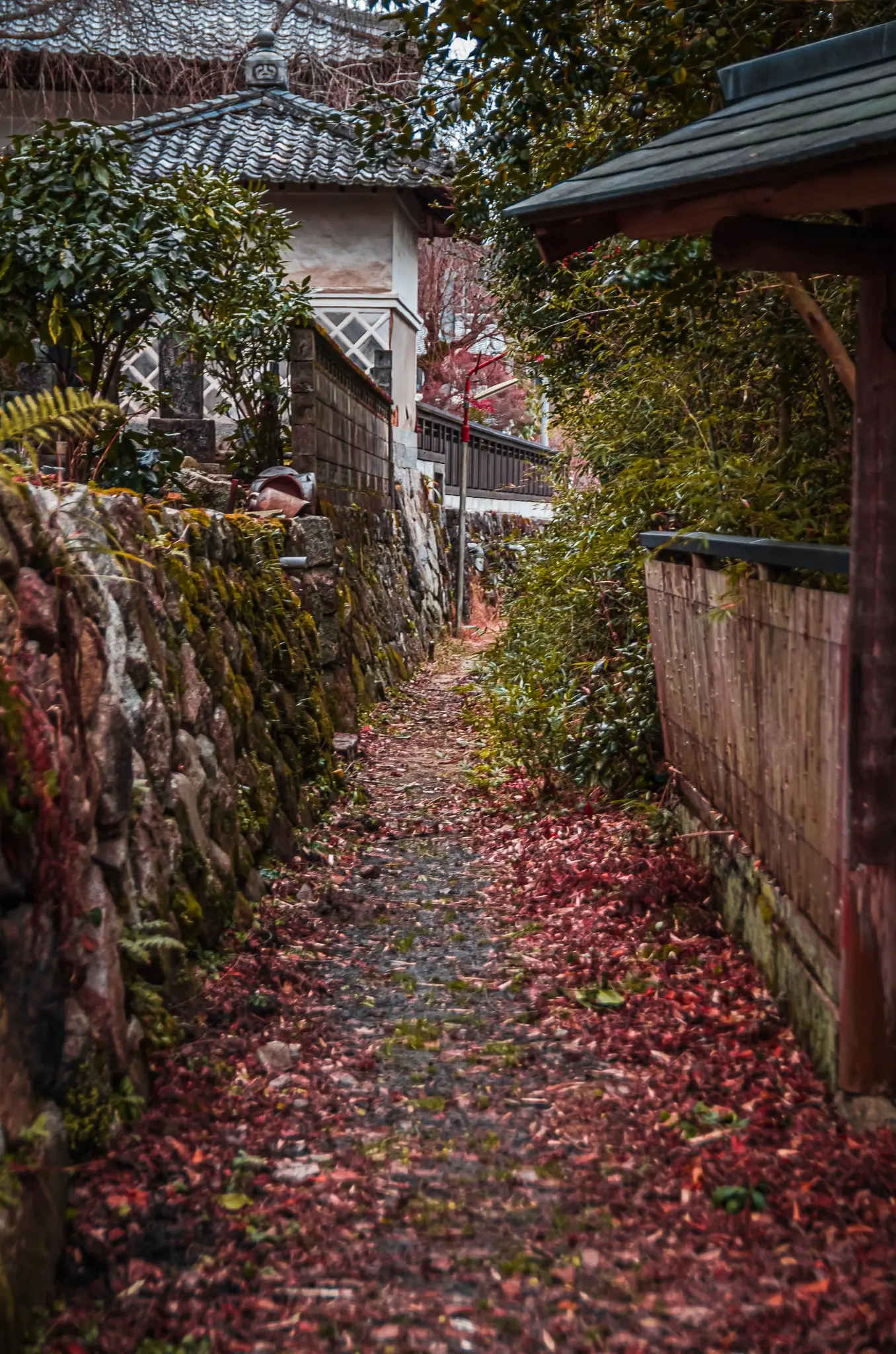 A narrow alley covered in fallen leaves in the old town of Iwamura