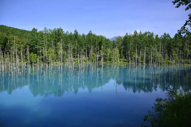 Shirogane Blue Pond
