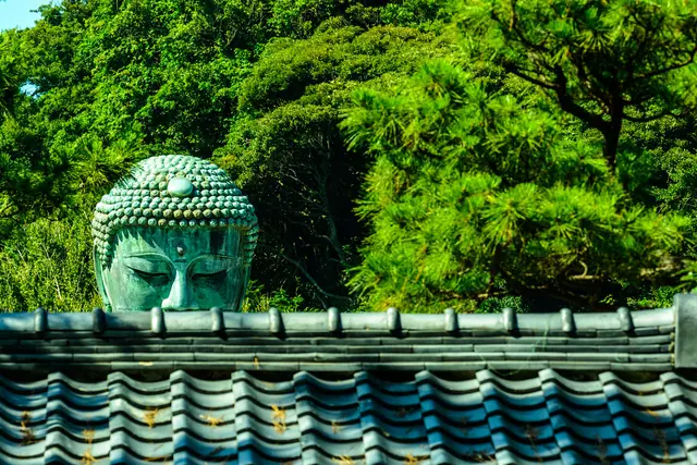 Kamakura Great Buddha (Kotoku-in)