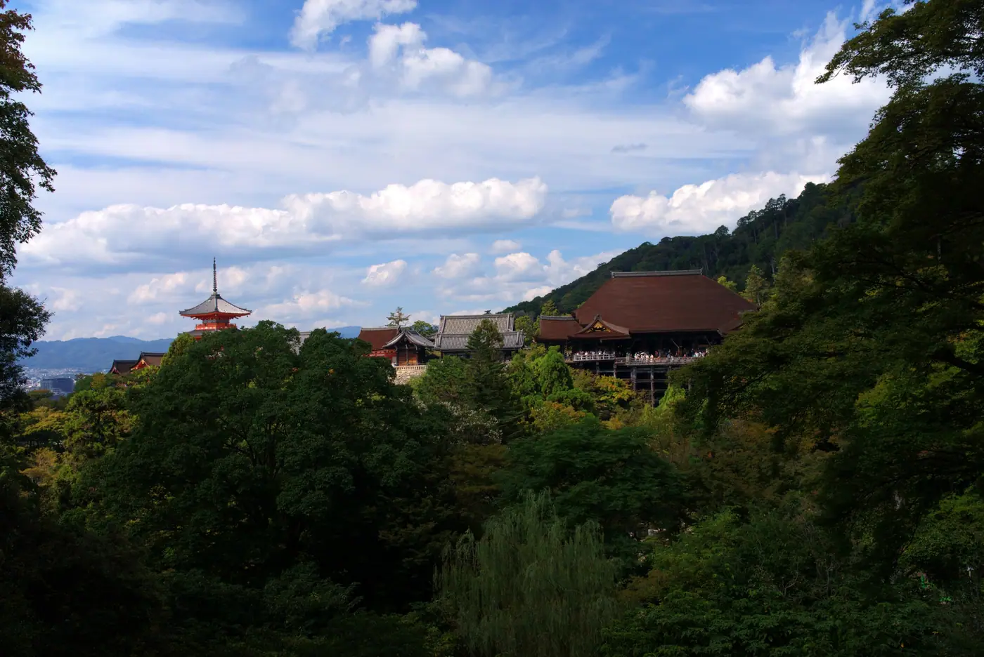 Kiyomizu-dera's halls and pagoda rising above the forest