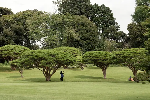 Shinjuku Gyoen