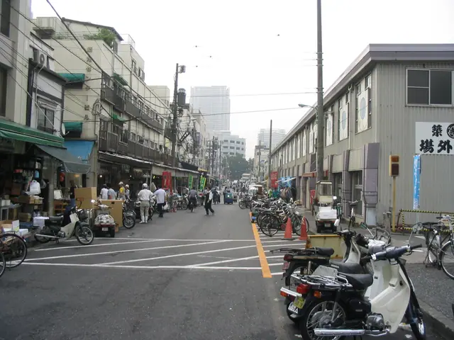 Tsukiji Outer Market