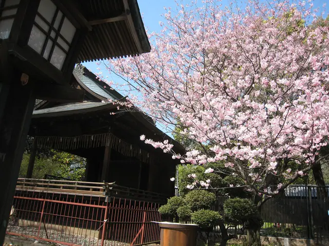 Ueno Park